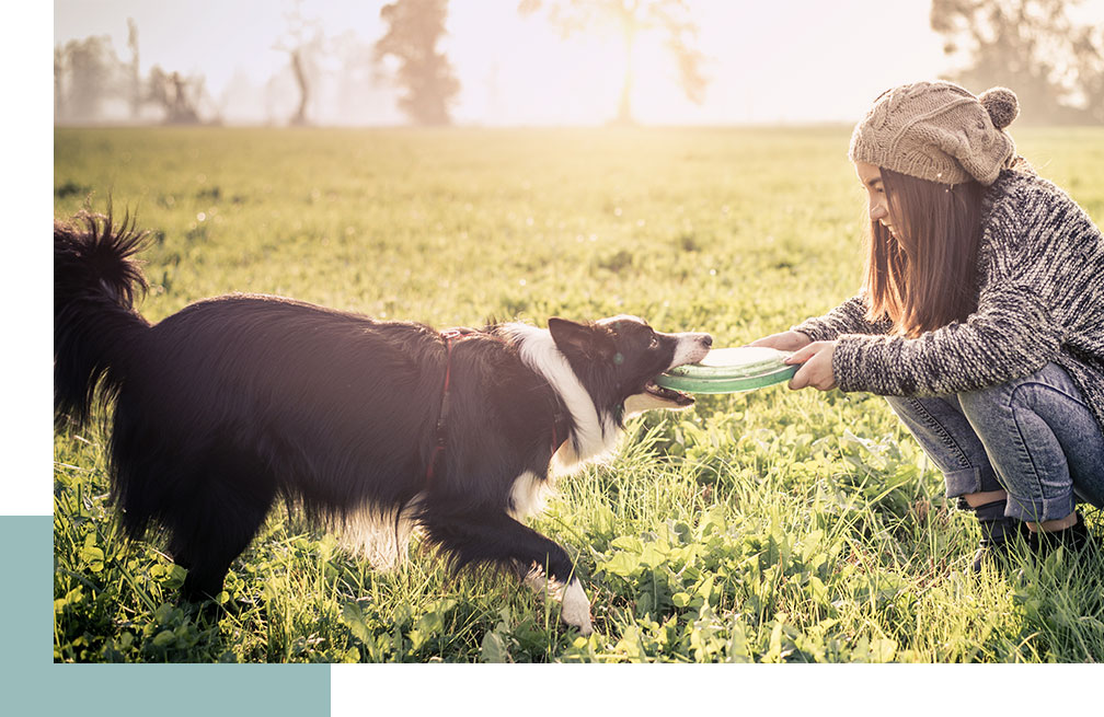 Girl playing with a frisbee and her dog in a park